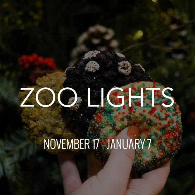 Gemini Zoo Lights Menu